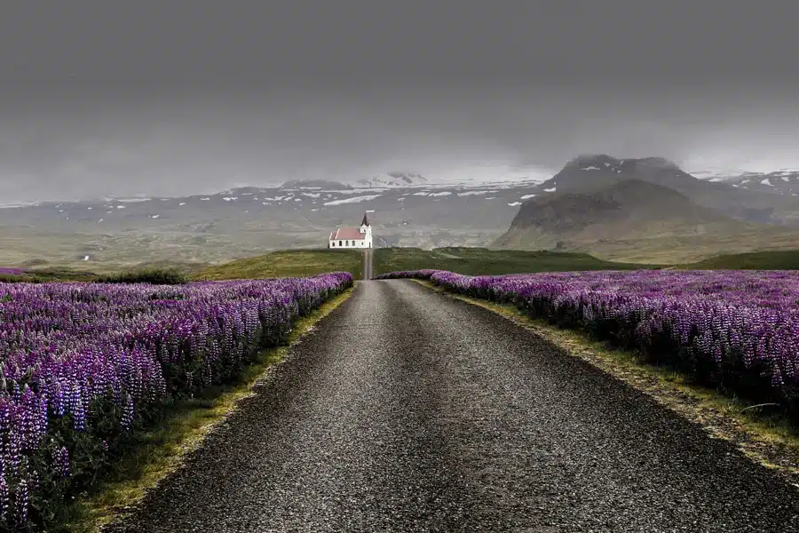 Westfjords-Breidavik-iceland